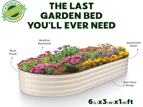 Galvanized Raised Garden Beds Outdoor