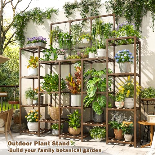 Tall Plant Stand (22 Count)