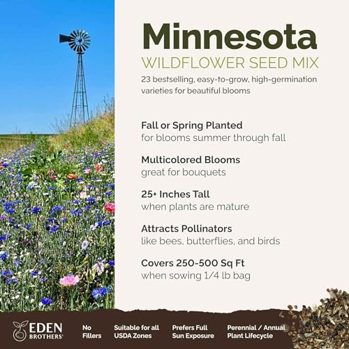 Minnesota Wildflower Mixed Seeds for Planting