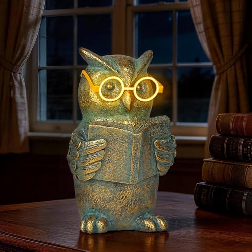 Reading Owl Statue with Solar Glasses Garden Decor Gift for Women (Owl)