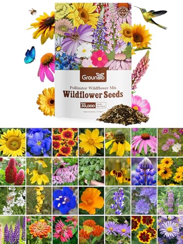 Wildflower Seeds (2 Ounce)