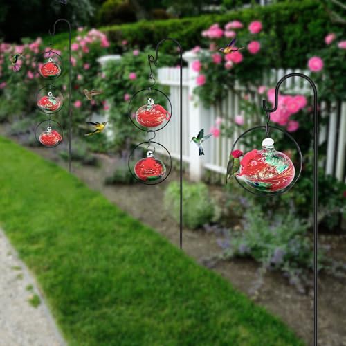 Flexible 6 Pack Hummingbird feeders for Outdoors Hanging Ant and Bee Proof