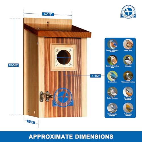 2 Pack Bluebird House