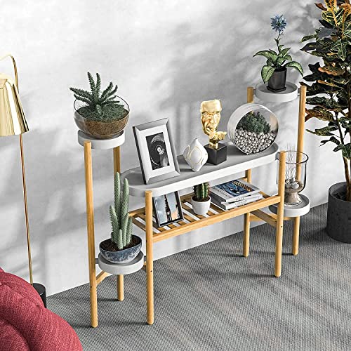 Tiered Plant Stand Indoor