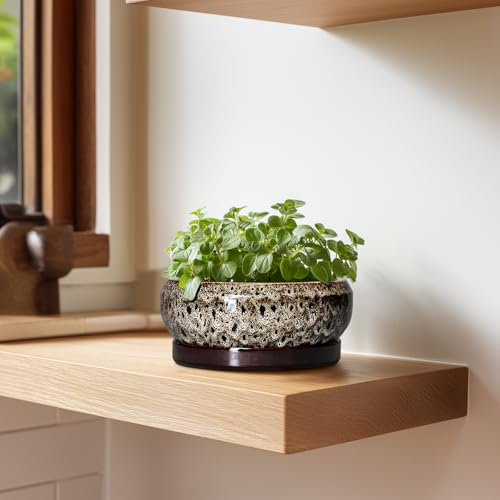 Succulent Planter 6 Inch (6 Inch / Leopard Brown-white)