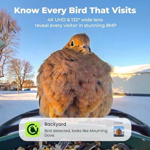 Solar Smart Bird Feeder with Camera