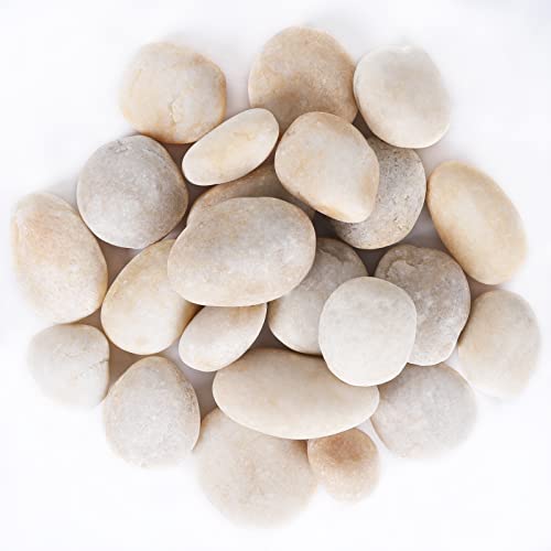 11LB Stones Pebbles River Rocks (11 Pounds / Cream White)