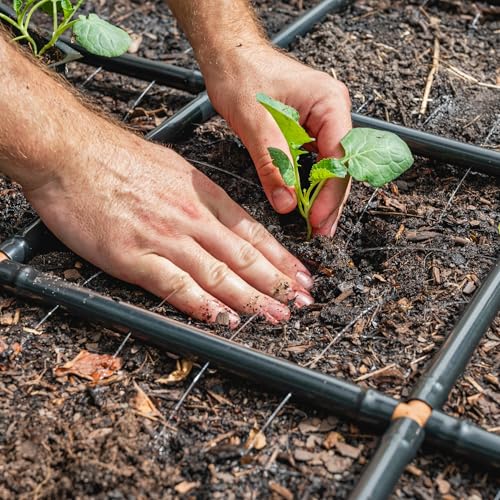 Garden Grid 2x6