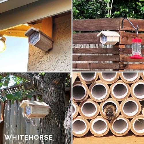 Premium Cedar Bee House