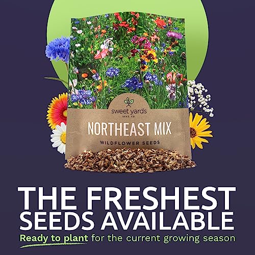 Northeast Wildflower Seeds (7500 Count)