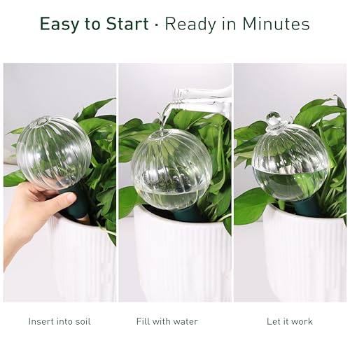 23 oz Up to 2 Weeks Extra Large Glass Plant Watering Globes (23 oz – 1 Pack)