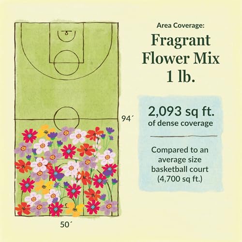 Fragrant Bulk Wildflower Seeds (16 Ounce)