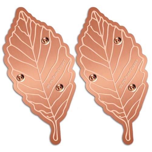 Bird Bath Copper Disk