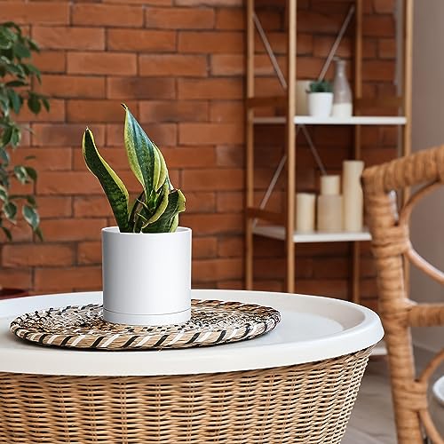 4 Pack White Plastic Planters with Saucers (6")