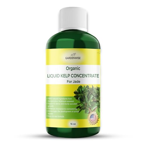Organic Premium Kelp Seaweed Fertilizer for Jade (16 Fl Oz)