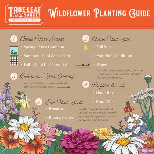 Mountain Valley Seed Co Pacific Northwest Wildflower Seed Planting