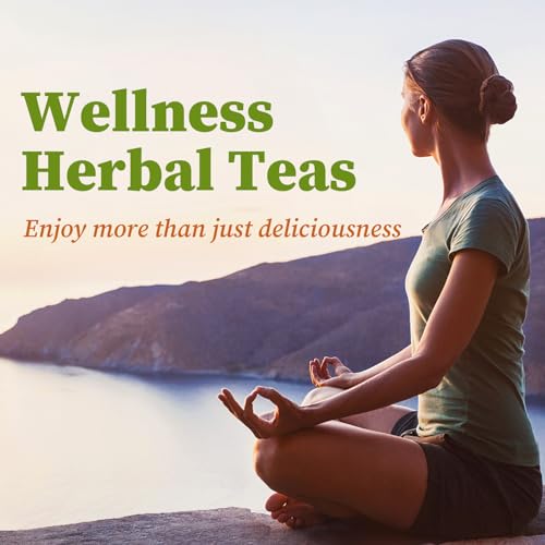 Soursop Leaves Tea (170 Count)