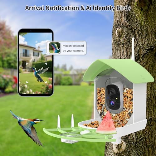 Bird Feeder with Camera