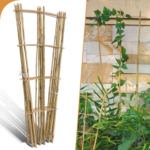 10 Pack 4ft Bamboo Trellis for Climbing Plants (10 Count)