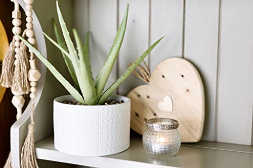 Artificial Plant in White Ceramic Pot