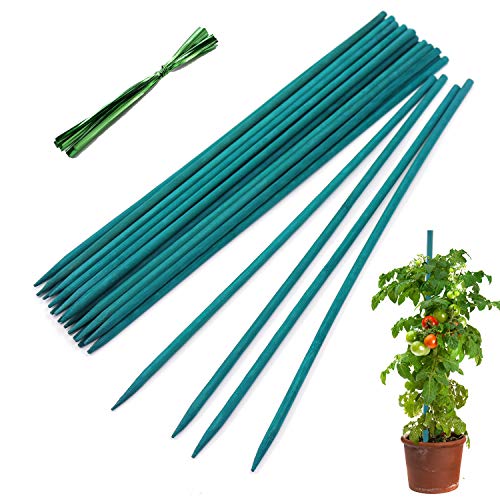 Plant Stakes 25Pcs (Green / 18 Inch 25Pack)