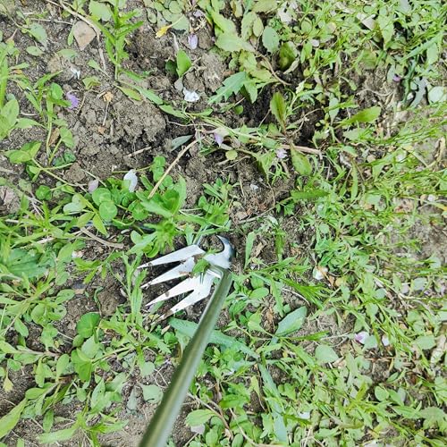 Gardening Tool (3 Count)