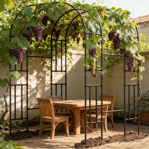 Garden Arch Trellis (87"H x 59"L x 47"W/Black)