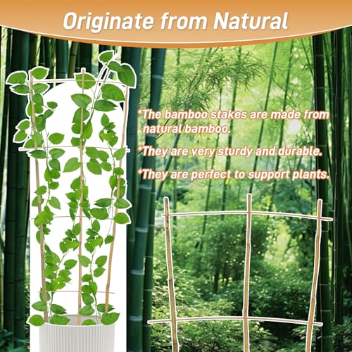 10 Pack 4ft Bamboo Trellis for Climbing Plants (10 Count)