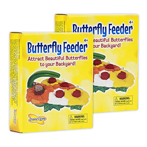 Deluxe Butterfly Feeder