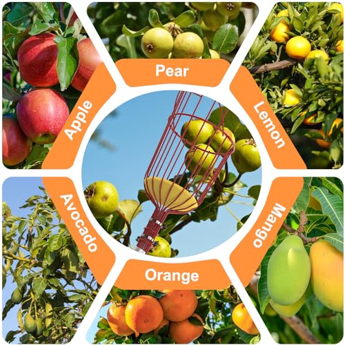 SISIUPASSIE 20FT Reach Fruit Picker