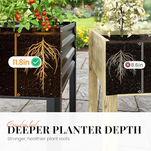 Large Raised Garden Bed with Large & Cover 48×24×56 in
