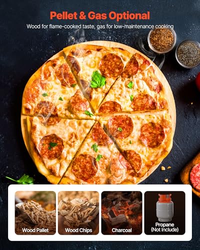 Dual Fuel Pizza Oven Outdoor (Silver)