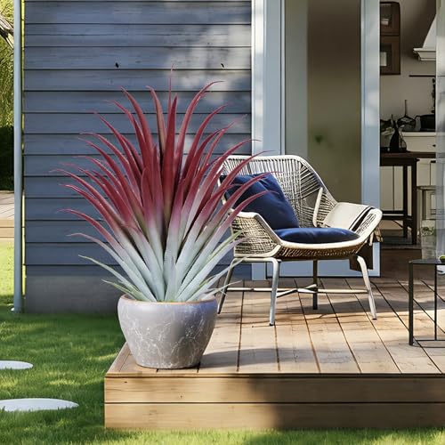 2ft Fake Spiked Agave Plant