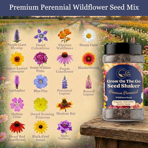 Wildflower Seed s
