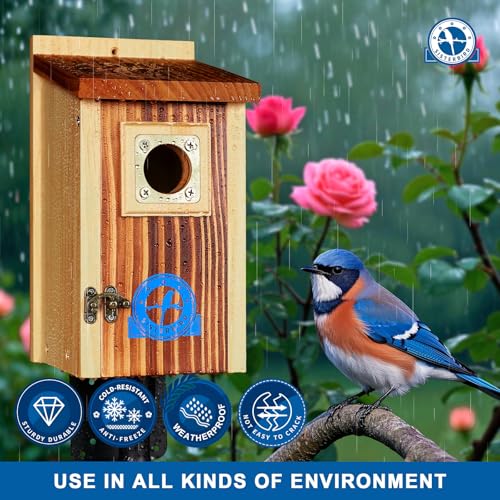 2 Pack Bluebird House