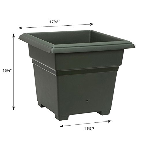 81751 Technology Root & Veg Organic Garden Kit