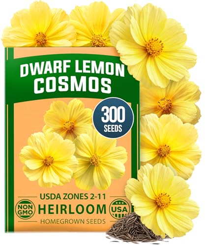 Cosmos Seeds Dwarf Lemon