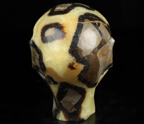 3.5" Dragon Septarian Stone Hand Carved Fairy Elf Alien Crystal Skull Companion with Eyes (Skullis 3.5" Dragon Septarian Stone 81)