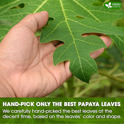 Premium 4 oz Papaya Dried Loose Leaves (4oz)