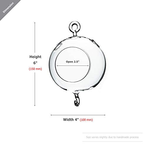 WGV Hanging Terrarium Globe (4" Double Hook)