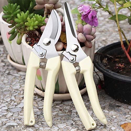 Garden Shears Set of 2