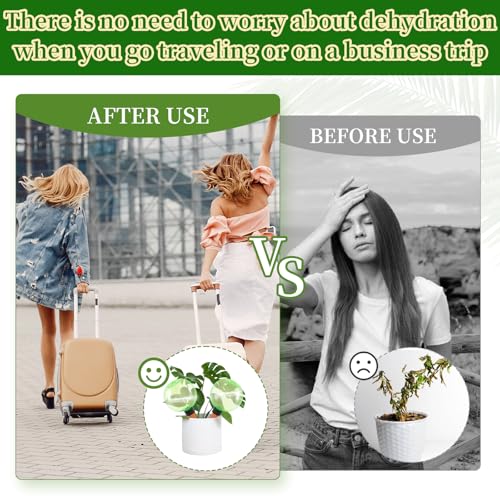3pcs Large Plant Self Watering Globes (3pack / Green)