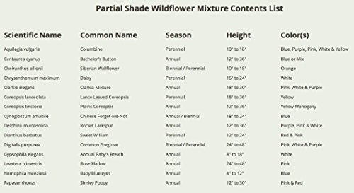 Partial Shade Wildflower Seeds Heirloom 2 Ounce Bulk Pack (30000 Count)