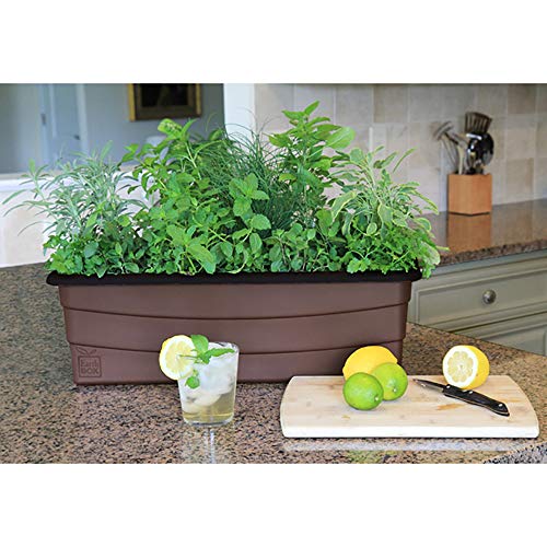 80653 Junior Garden Kit