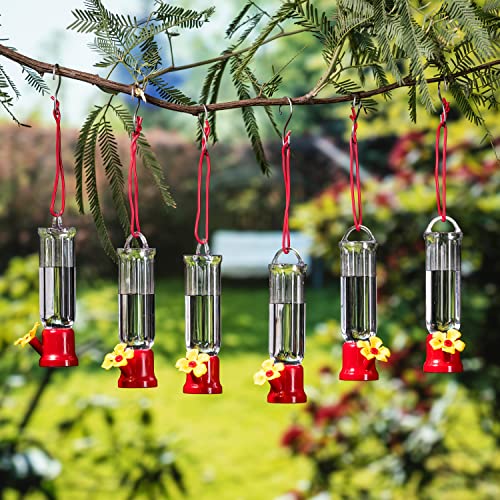 Set of 6 Mini Hummingbird Feeders with Hanging Wires