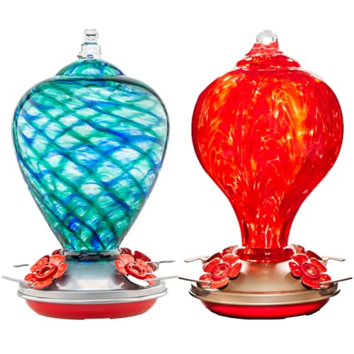 2 Packs Hummingbird Feeder for Outdoors Hanging Ant and Bee Proof
