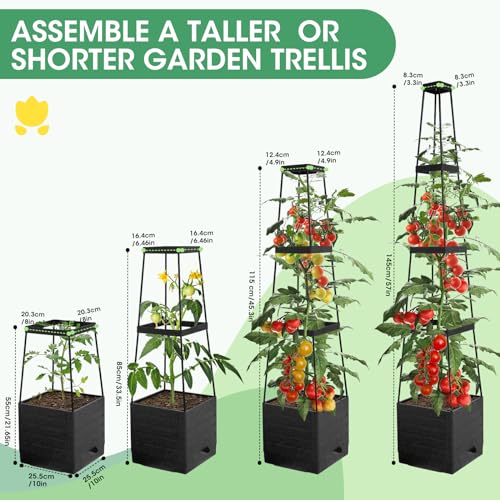 2Pack Raised Garden Bed Planter Boxes with Trellis (2 Count)