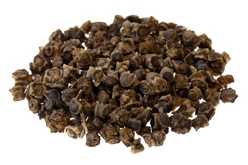 50+ Beet Seeds for Planting