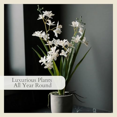 Faux Vanda Orchid Plant (20.5" Vanda Orchid)