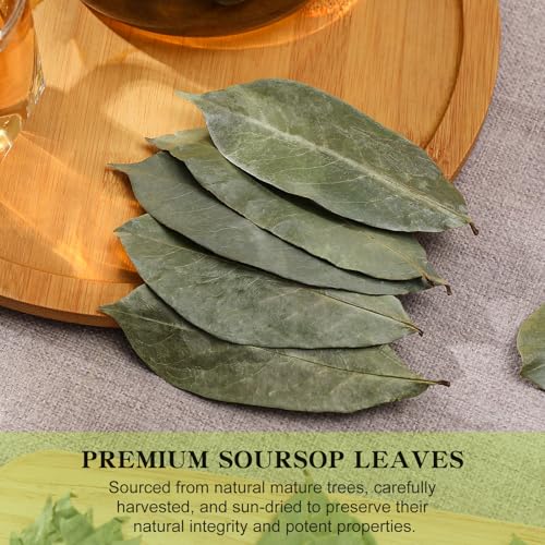 Soursop Leaves Tea (170 Count)